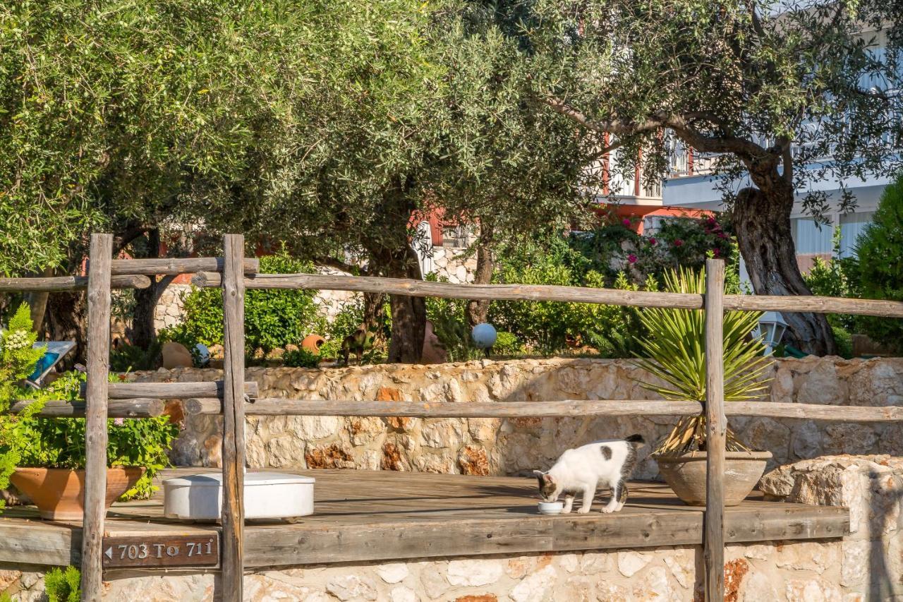 Oasis Hotel (Adults Only) Kalkan Bagian luar foto
